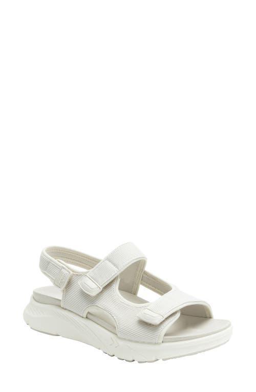 Alegria by PG Lite Sandie Sandal Product Image