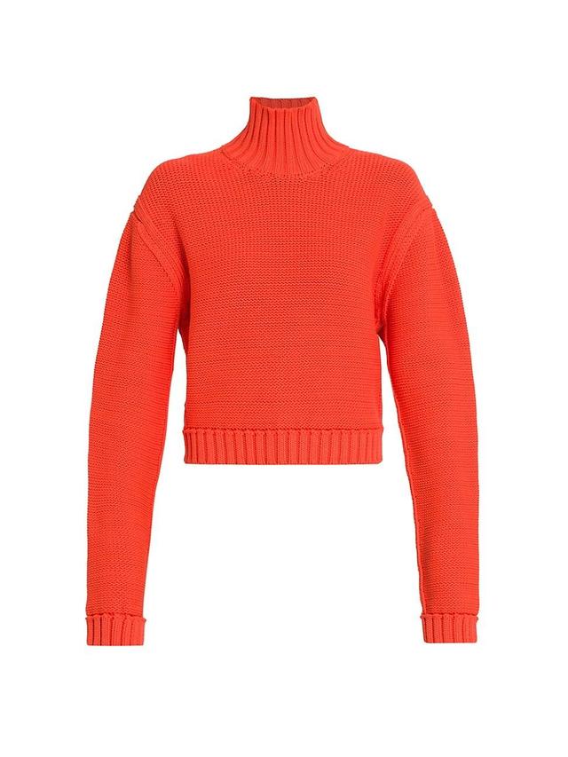 Womens Shaker-Stitch Turtleneck Sweater Product Image