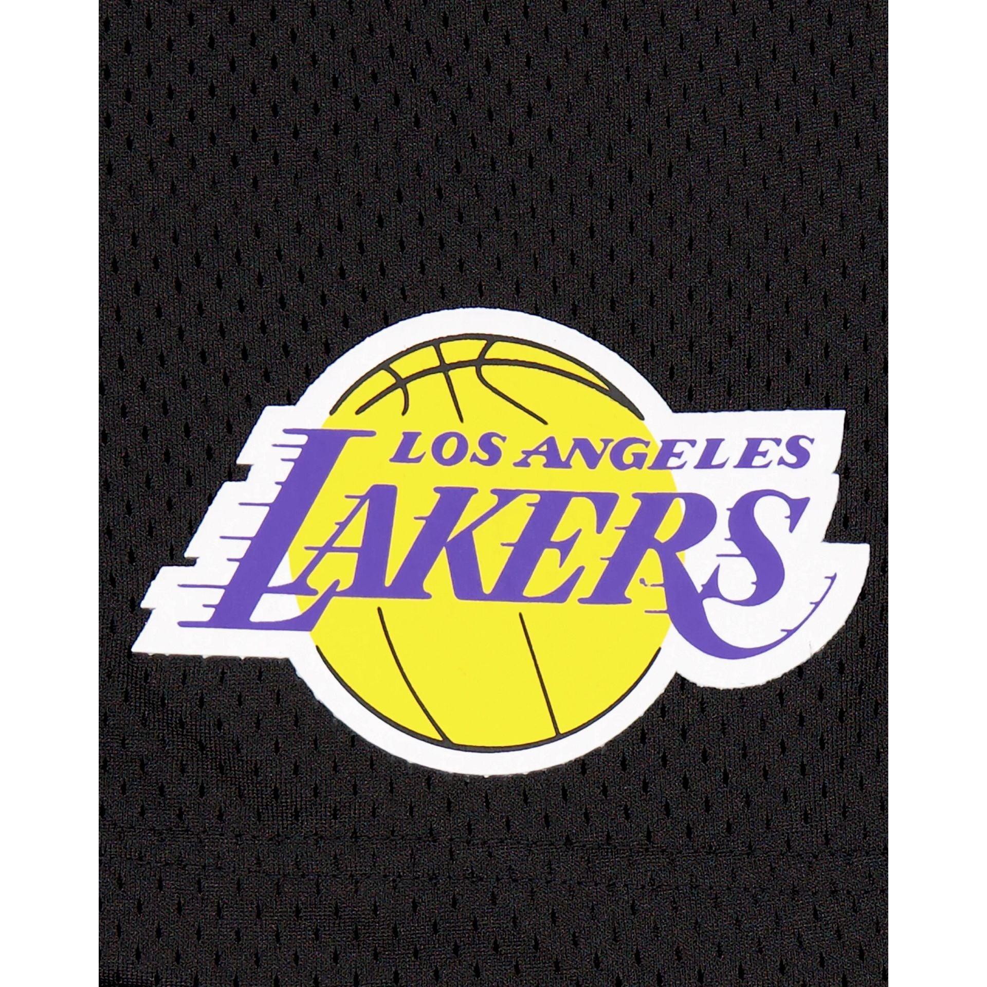 Los Angeles Lakers Mesh Shorts Male Product Image