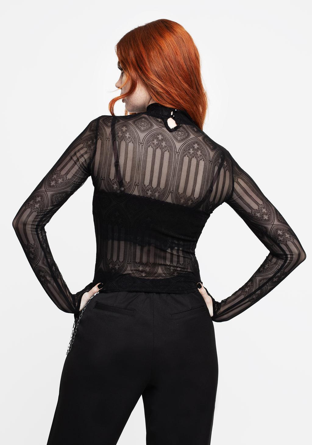 Cloister Flocked Mesh High Neck Long Sleeve Top Product Image