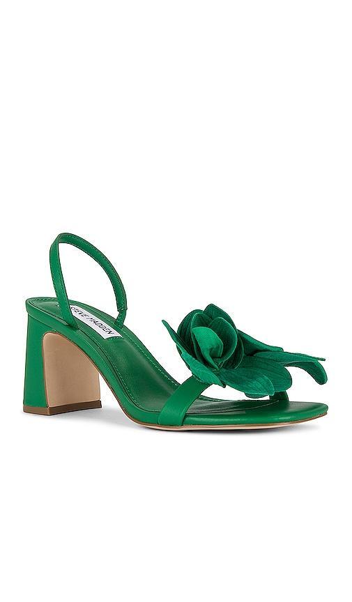 Steve Madden Farrie Sandal in Green. - size 9 (also in 10, 5.5, 6, 6.5, 7, 7.5, 8, 8.5) Product Image