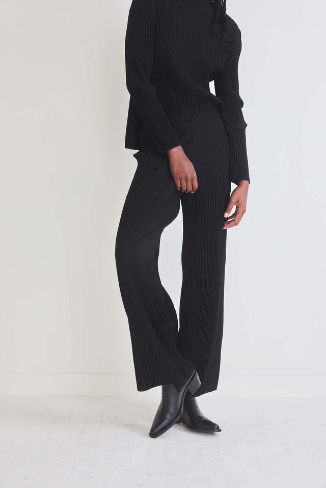 Masterful Plissé Pleated Pants Product Image