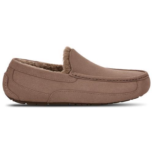 UGG Mens Ascot - Shoes Product Image