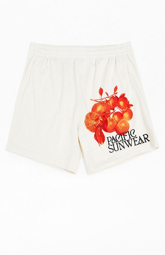 Men's Lemons Mesh Basketball Shorts Product Image