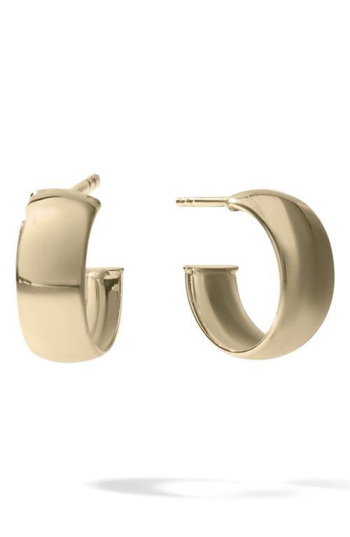 Lana Wide Huggie Hoop Earrings Product Image