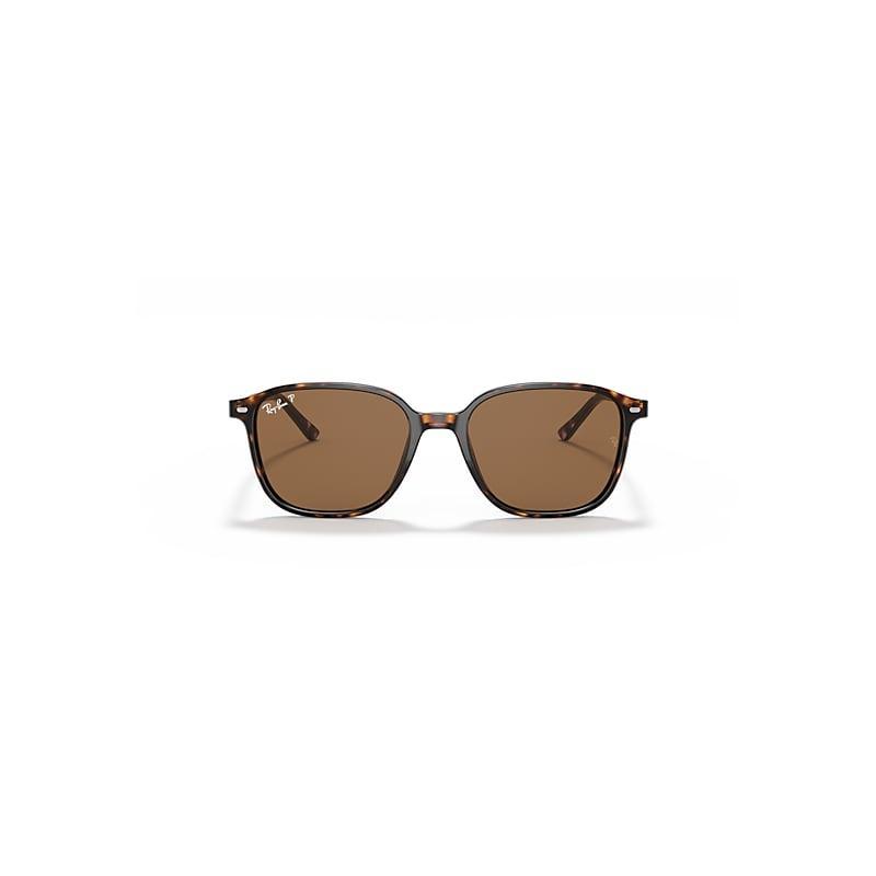 Ray-Ban Leonard Sunglasses Frame Brown Lenses Polarized Product Image