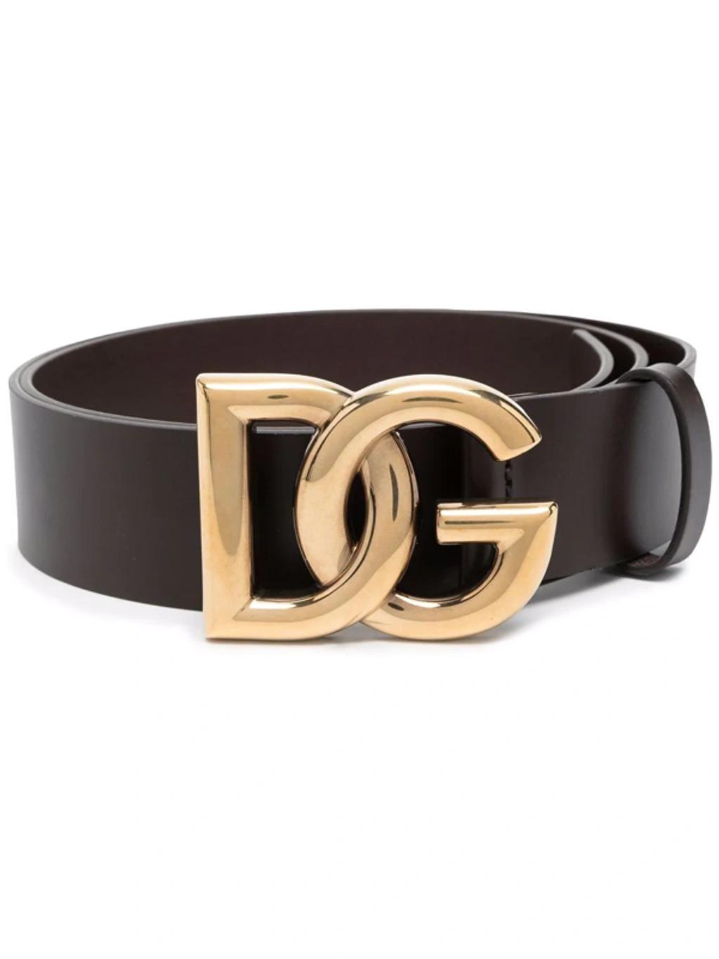 Leather Logo Belt In Brown,gold Product Image