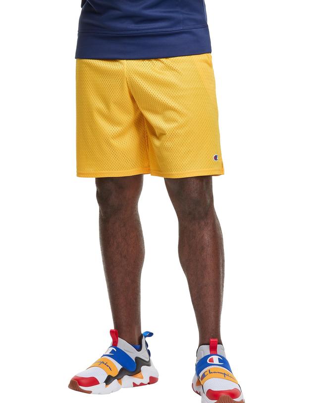 Champion Mens Mesh Shorts Product Image