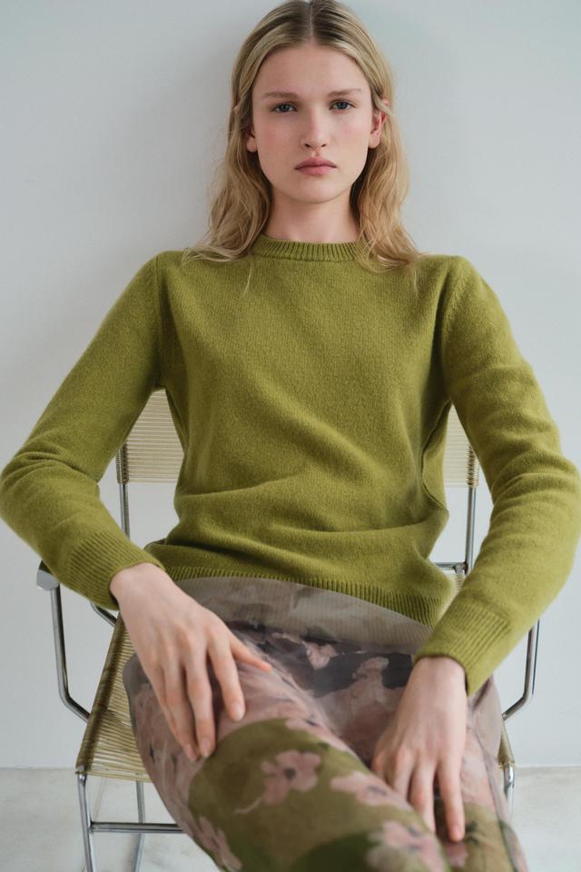 CASHMERE AND WOOL BLEND BASIC SWEATER Product Image