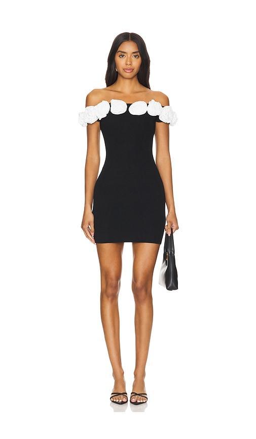 Halle Mini Dress Product Image