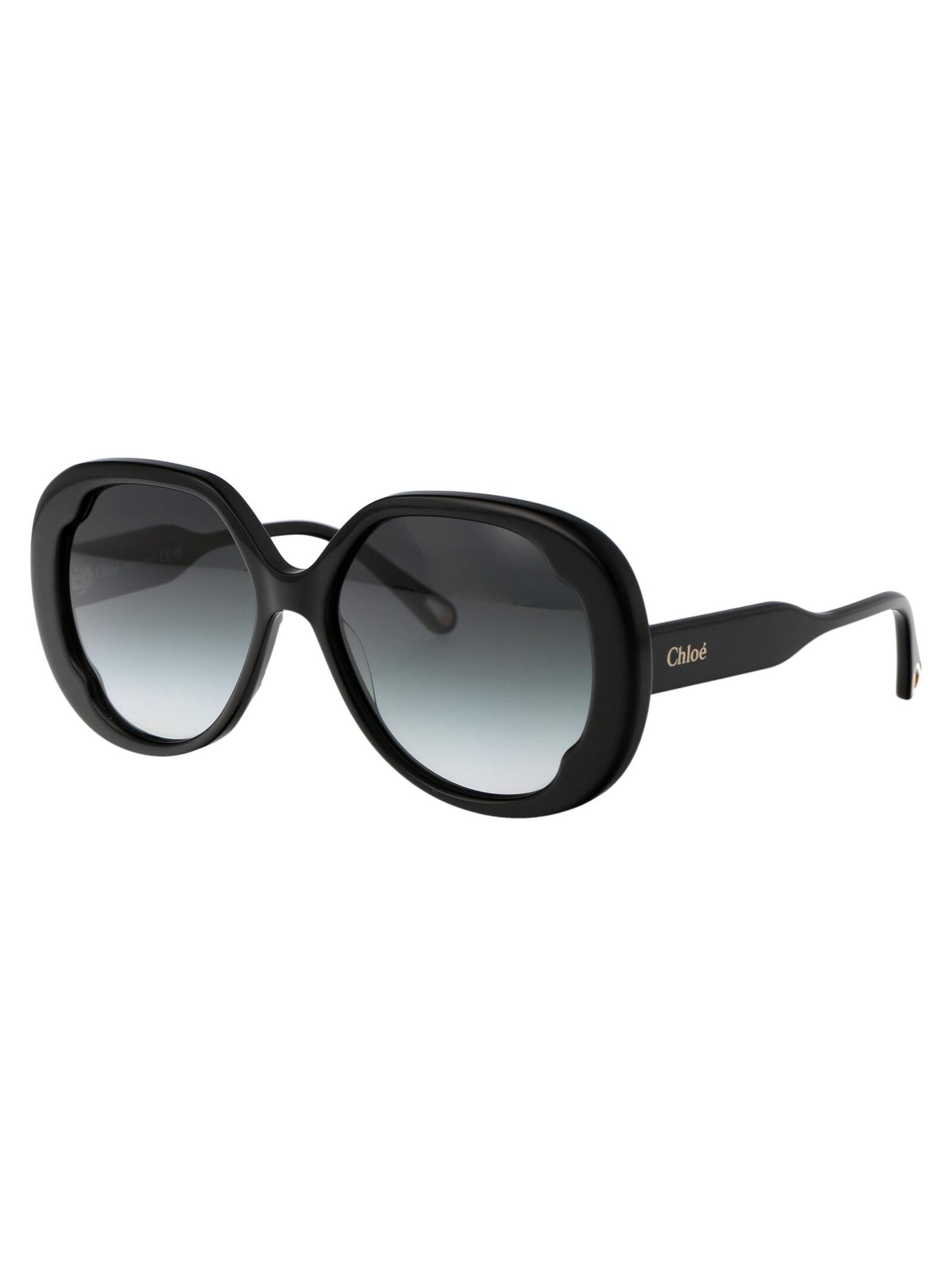 Ch0195s 001 Sunglasses In Grey Product Image