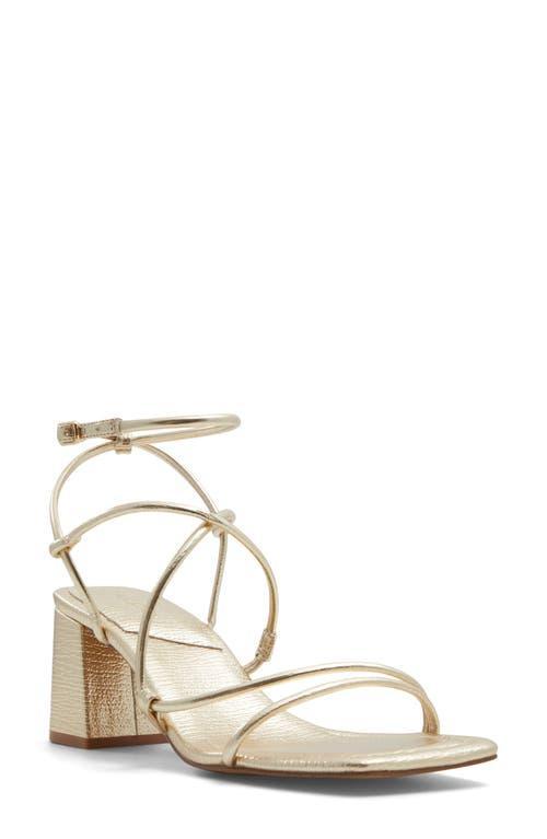 ALDO Harmonni Ankle Strap Sandal Product Image