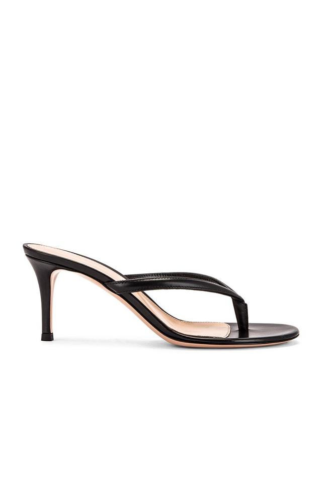 Gianvito Rossi Thong Sandals in Black - Black. Size 34.5 (also in ). Product Image