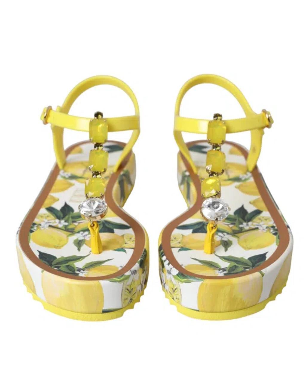 DOLCE & GABBANA Toe Strap Sandals In Yellow Product Image