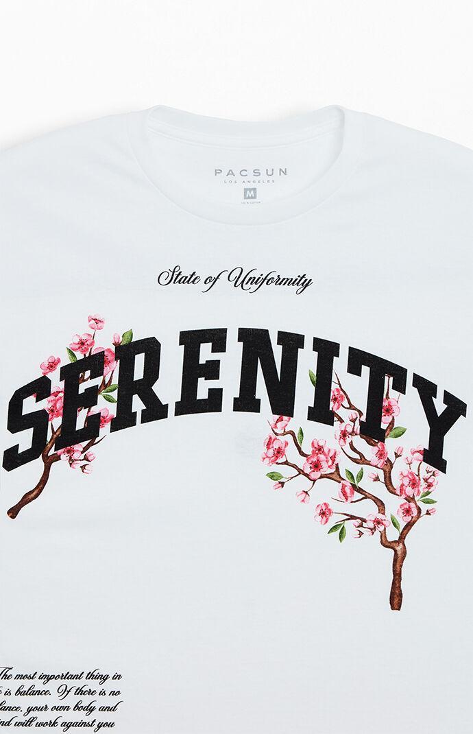 Men's Serenity T-Shirt Product Image