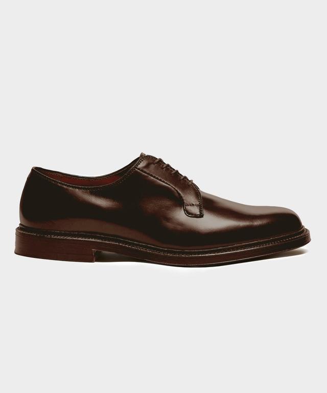 Alden Plain Toe Blucher Color 8 Shell Cordovan Product Image