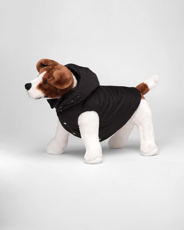 Re-Nylon puffer dog coat with hood Product Image