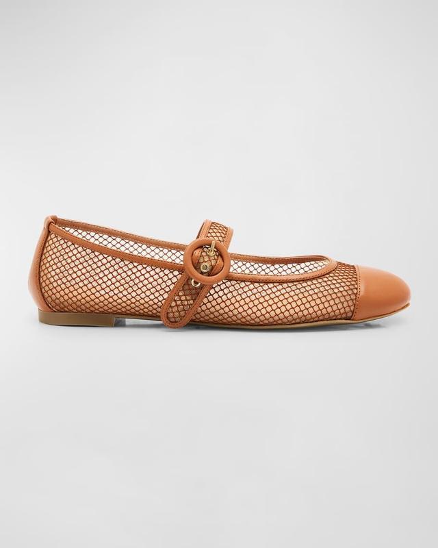 Solstice Net Mesh Mary Jane Ballerina Flats Product Image