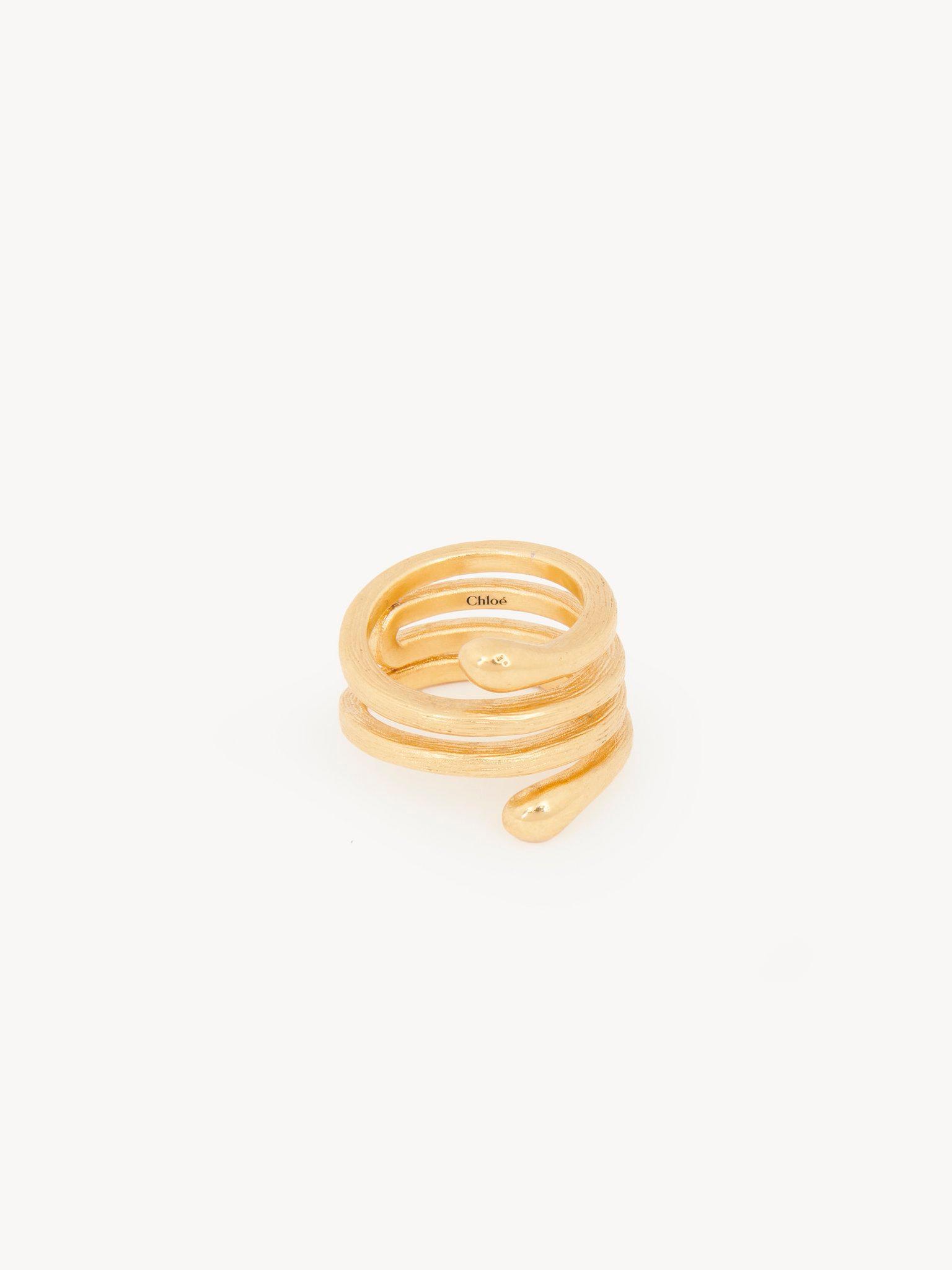 The Chloé Eclectic ring Product Image