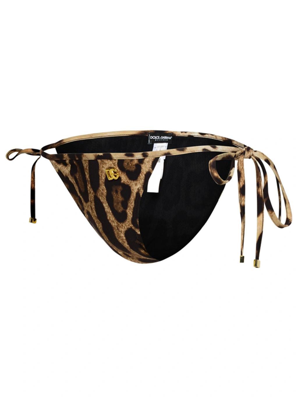 DOLCE & GABBANA Leopard-print Bikini Bottoms In Black Product Image