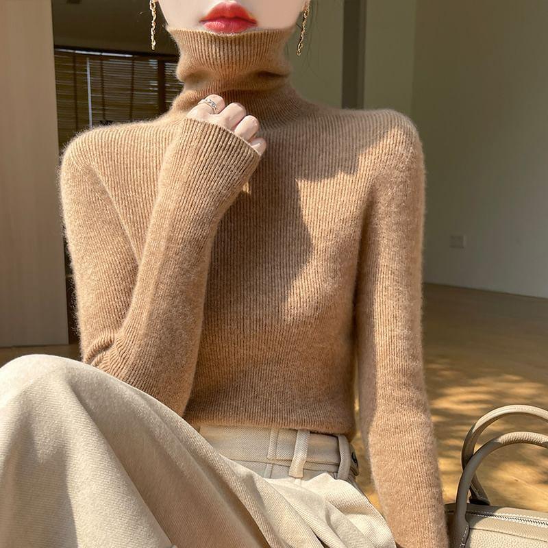 Turtleneck Plain Ribbed Knitted Sweater Product Image