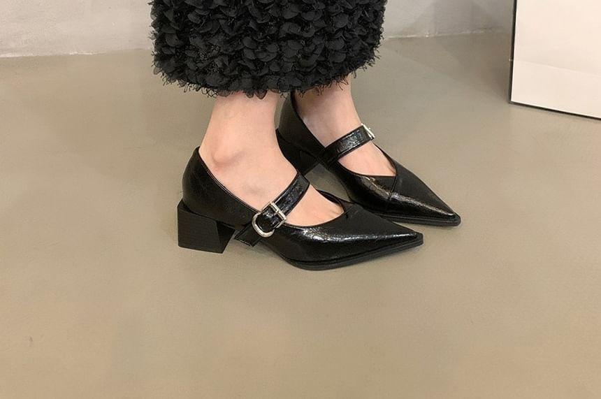 Pointed Toe Block Heel Mary Jane Pumps Product Image