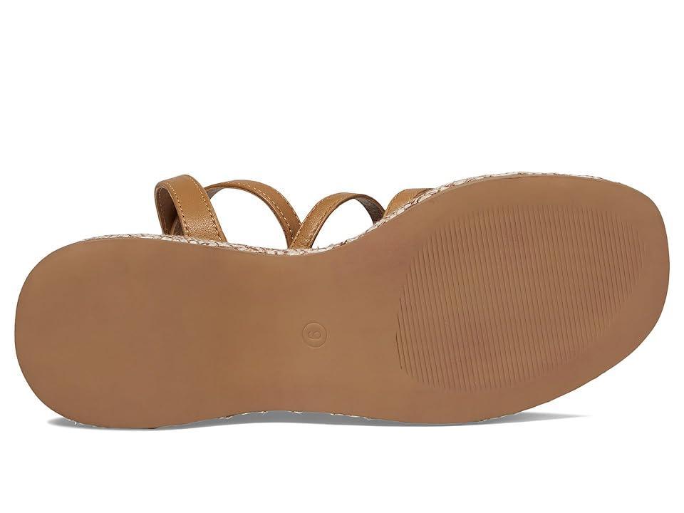 Seychelles Grapefruit Women's Sandals Product Image