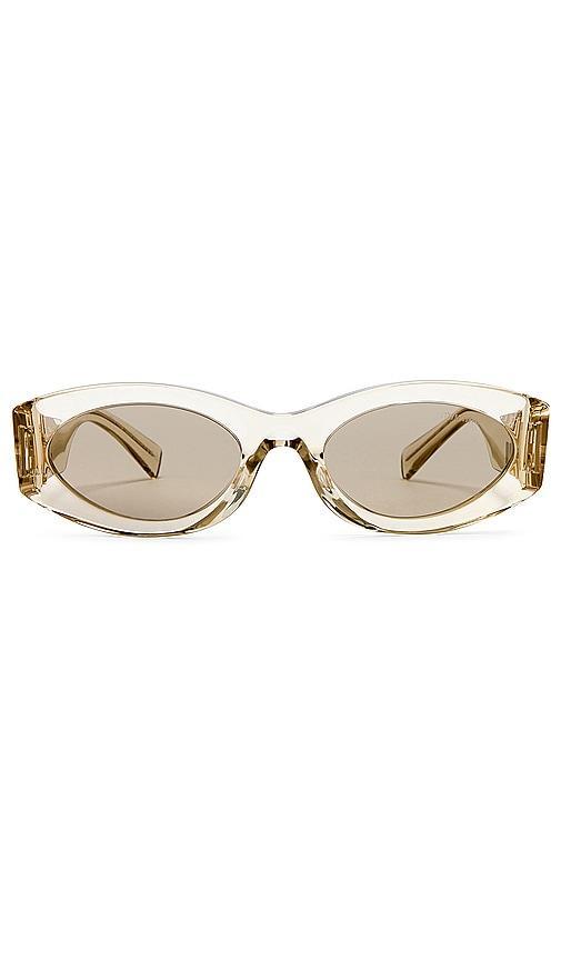 Oval Sunglasses Product Image