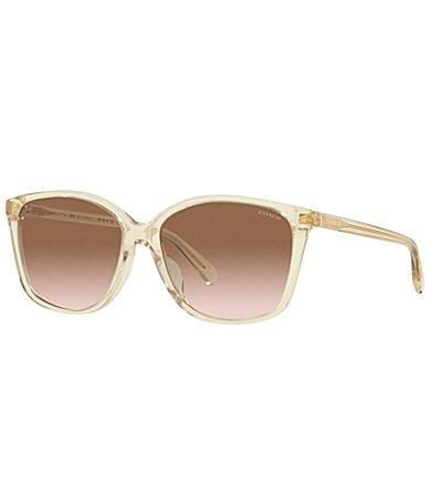 Gradient Square Acetate Sunglasses Product Image