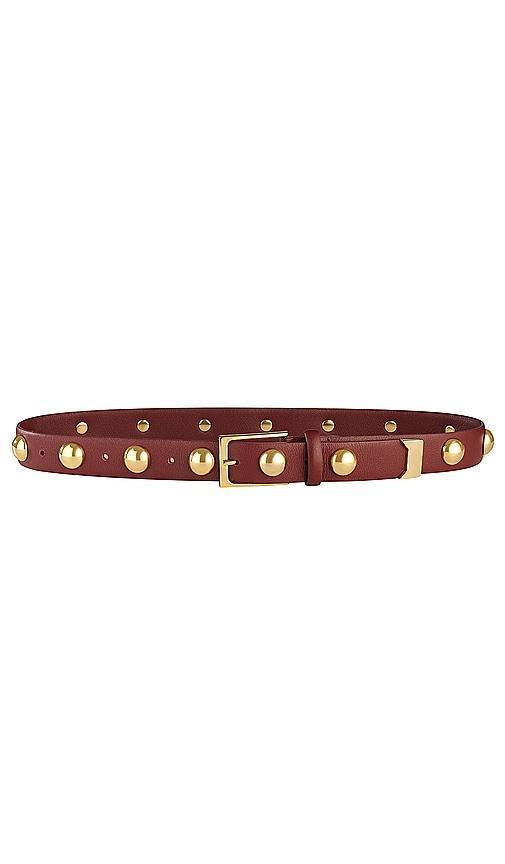 Studded Belt Product Image