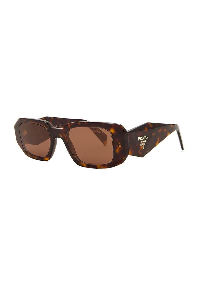 Prada Oval Frame Sunglasses in Brown. Product Image