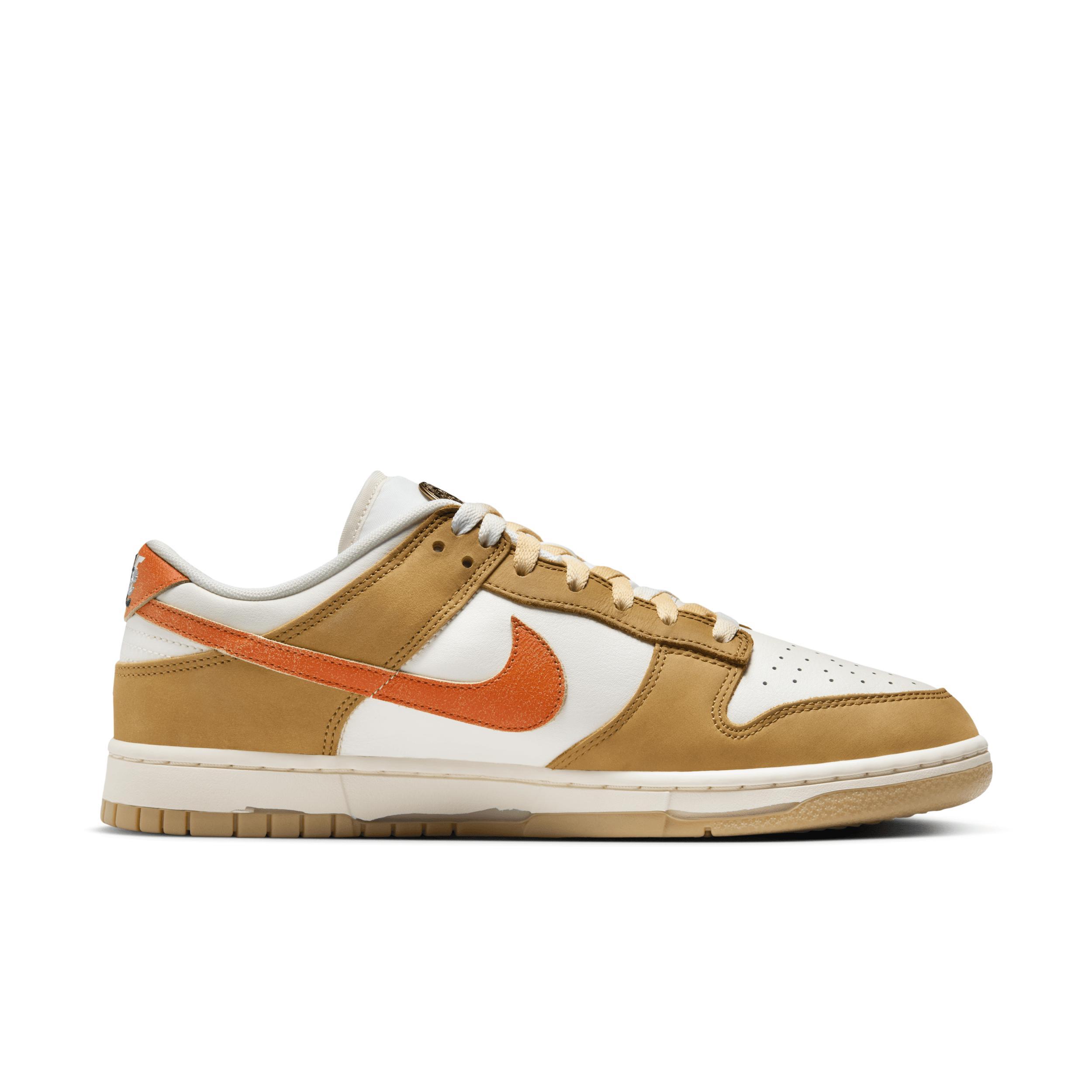 Nike Dunk Low Retro Shoes Product Image