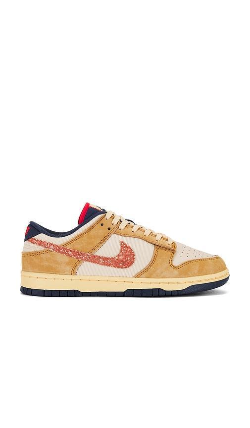 NIKE Dunk Low Retro Se In Multicolor Product Image