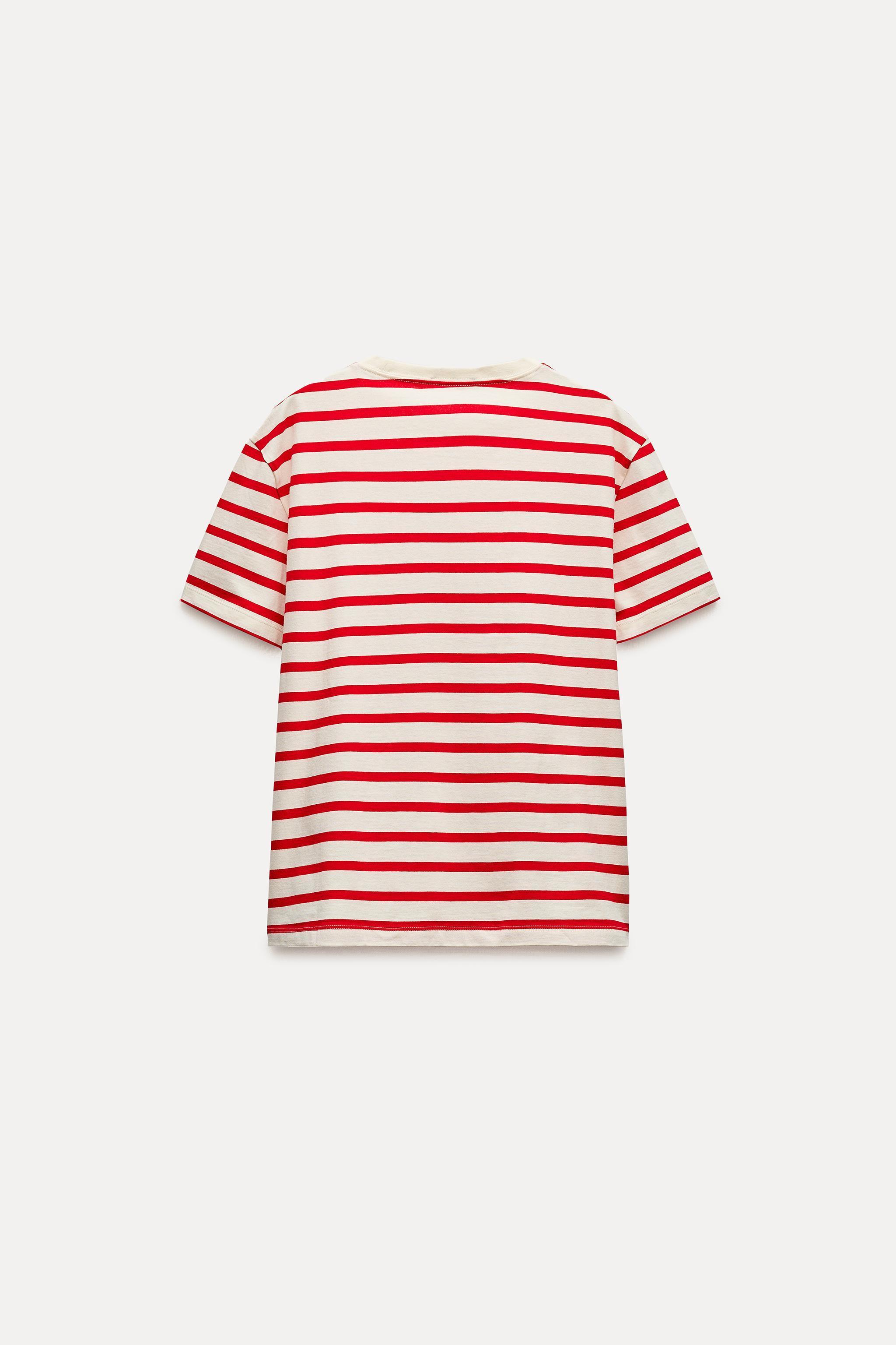 BASIC COTTON T-SHIRT Product Image