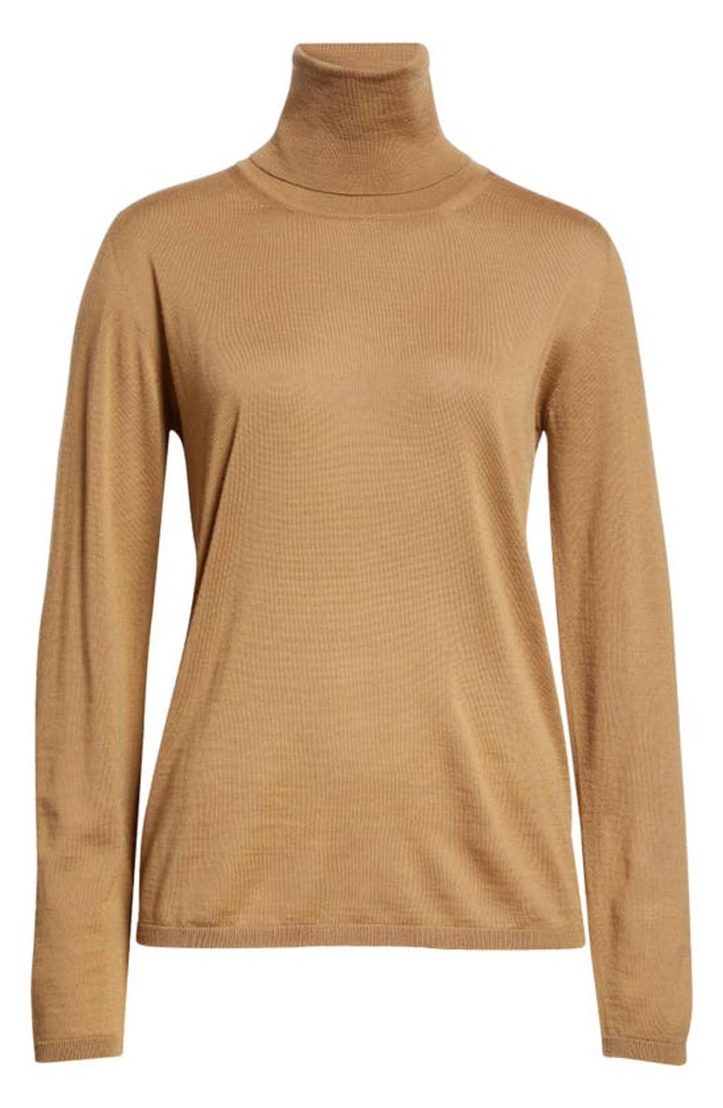 MAX MARA Palos Turtleneck Sweater In Nude & Neutrals product image