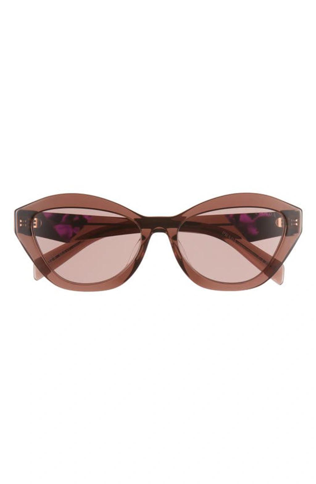 55mm Butterfly Sunglasses In Light Brown Product Image