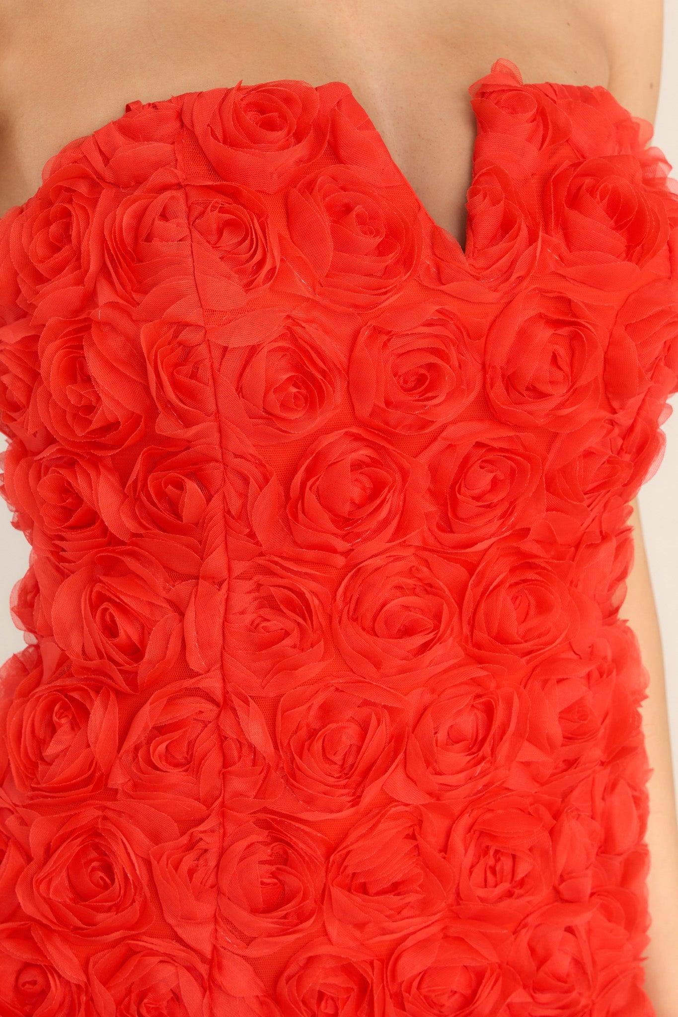 Romantically Entangled Dress Red Product Image