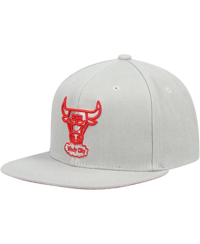 Mens Mitchell & Ness Gray Chicago Bulls Hardwood Classics Tonal Snapback Hat Product Image