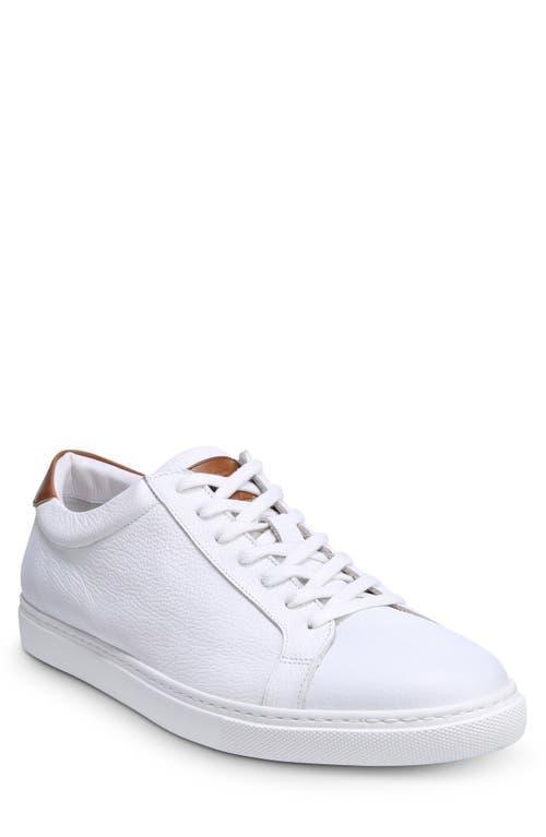 Allen Edmonds Courtside Sneaker Product Image