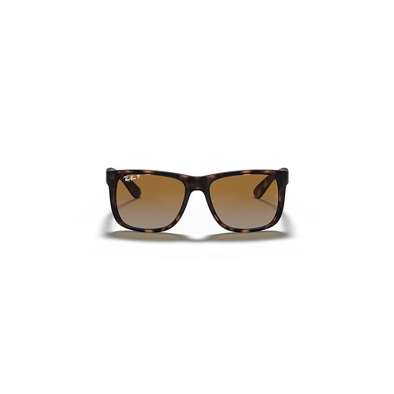 BV1178S Acetate & Metal Rectangle Sunglasses Product Image