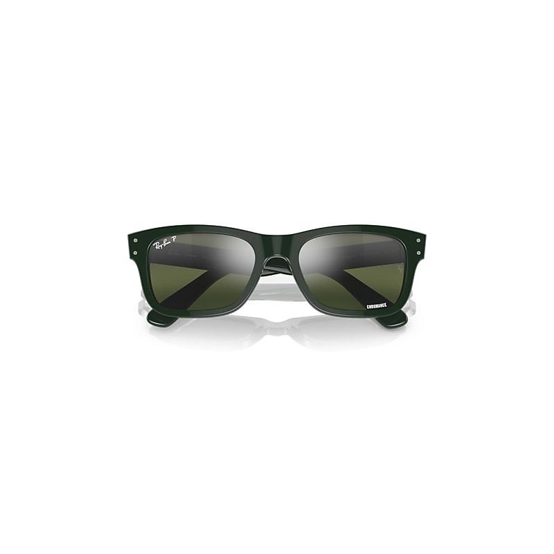 Ray-Ban Burbank Sunglasses Frame Lenses Polarized Product Image