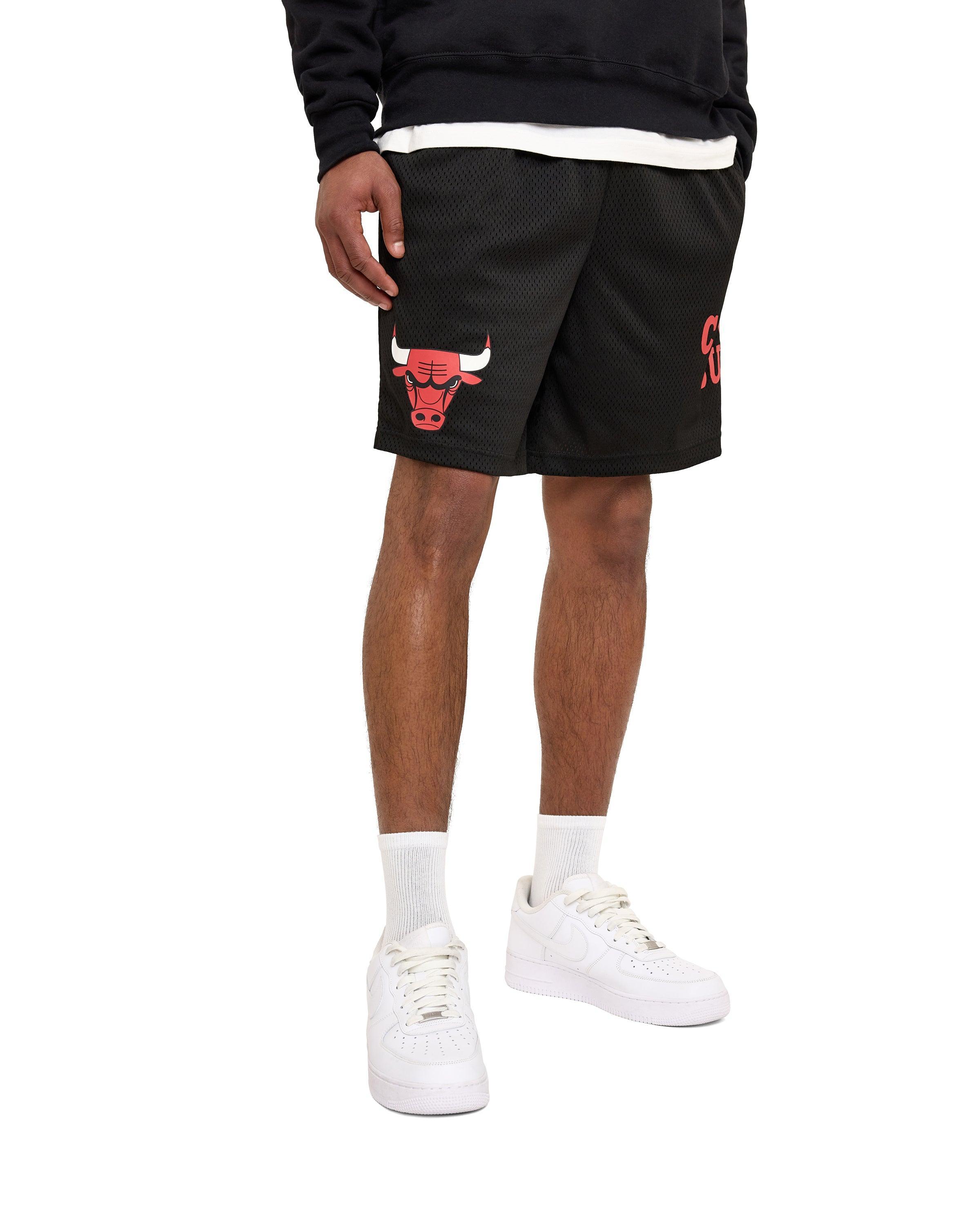 Boston Celtics Mesh Shorts Male Product Image