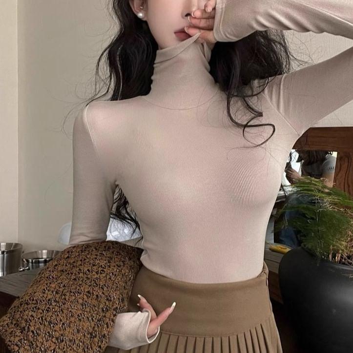 Long Sleeve Turtleneck Plain Top Product Image