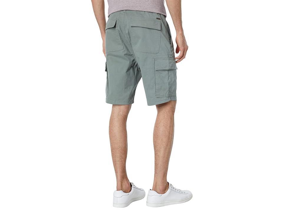 Rodd & Gunn Thorne Bay (Sage) Men's Shorts Product Image