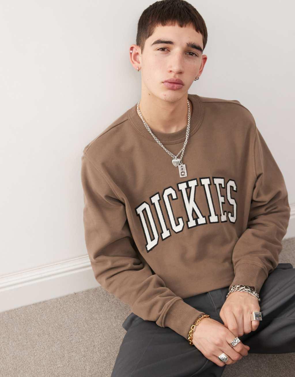 Dickies Aitkin varsity sweatshirt in brown Product Image