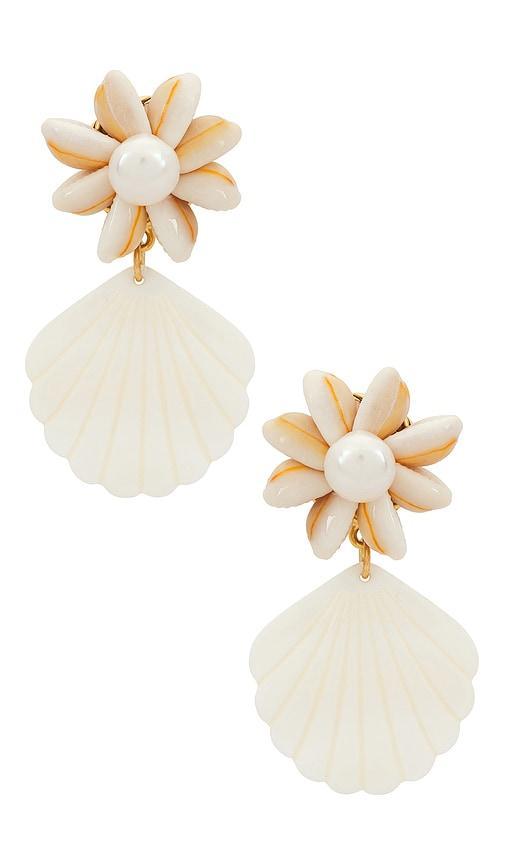 Royal Palm Earrings Product Image