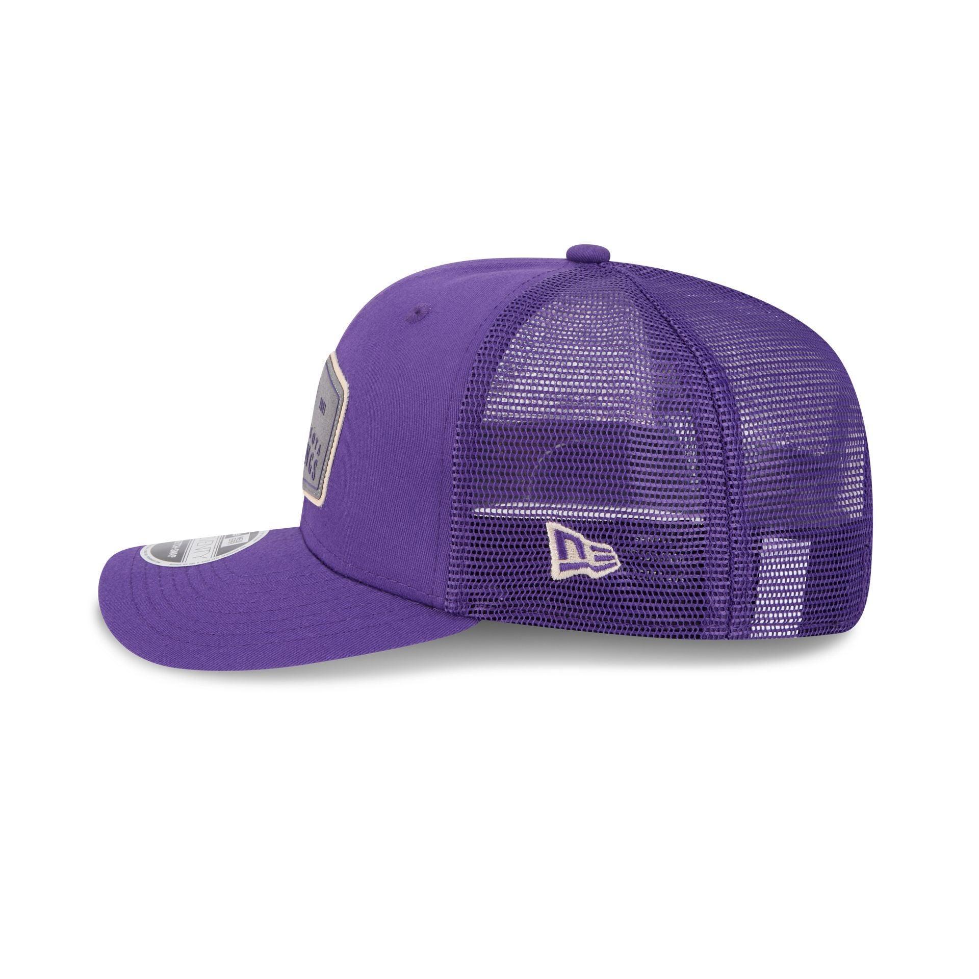 Minnesota Vikings Labeled 9SEVENTY Stretch-Snap Hat Male Product Image