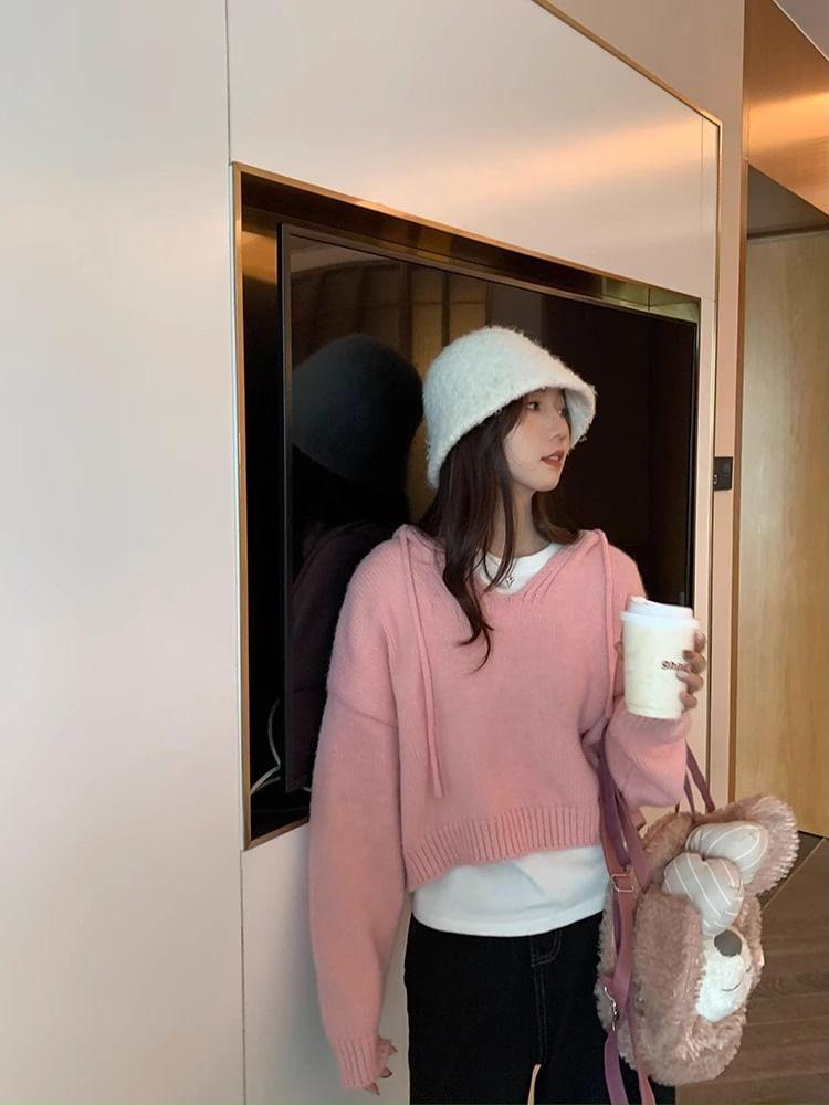 Plain Hooded Cropped Sweater Product Image