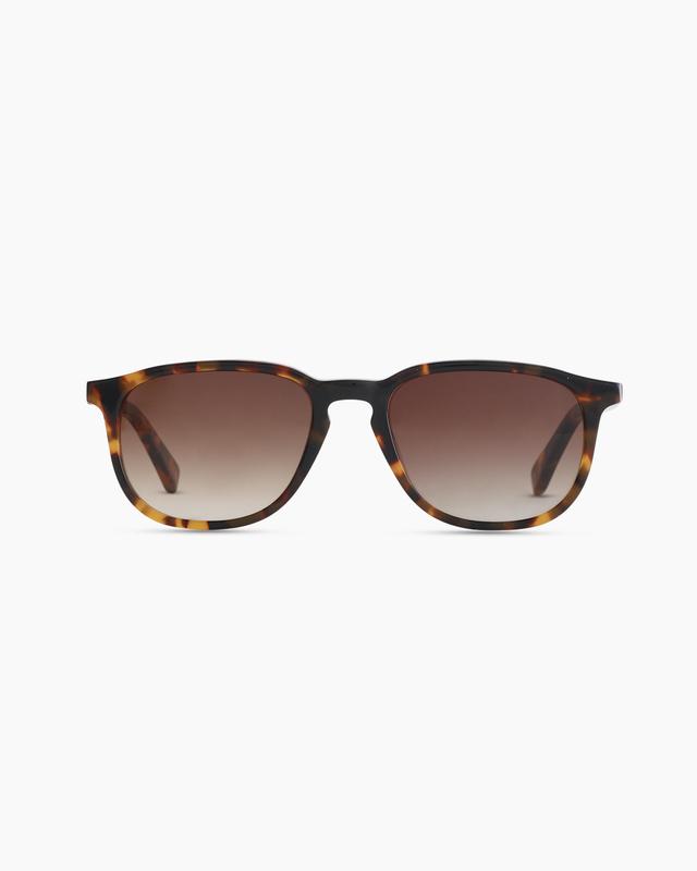 Cameron Polarized Acetate Sunglasses Product Image