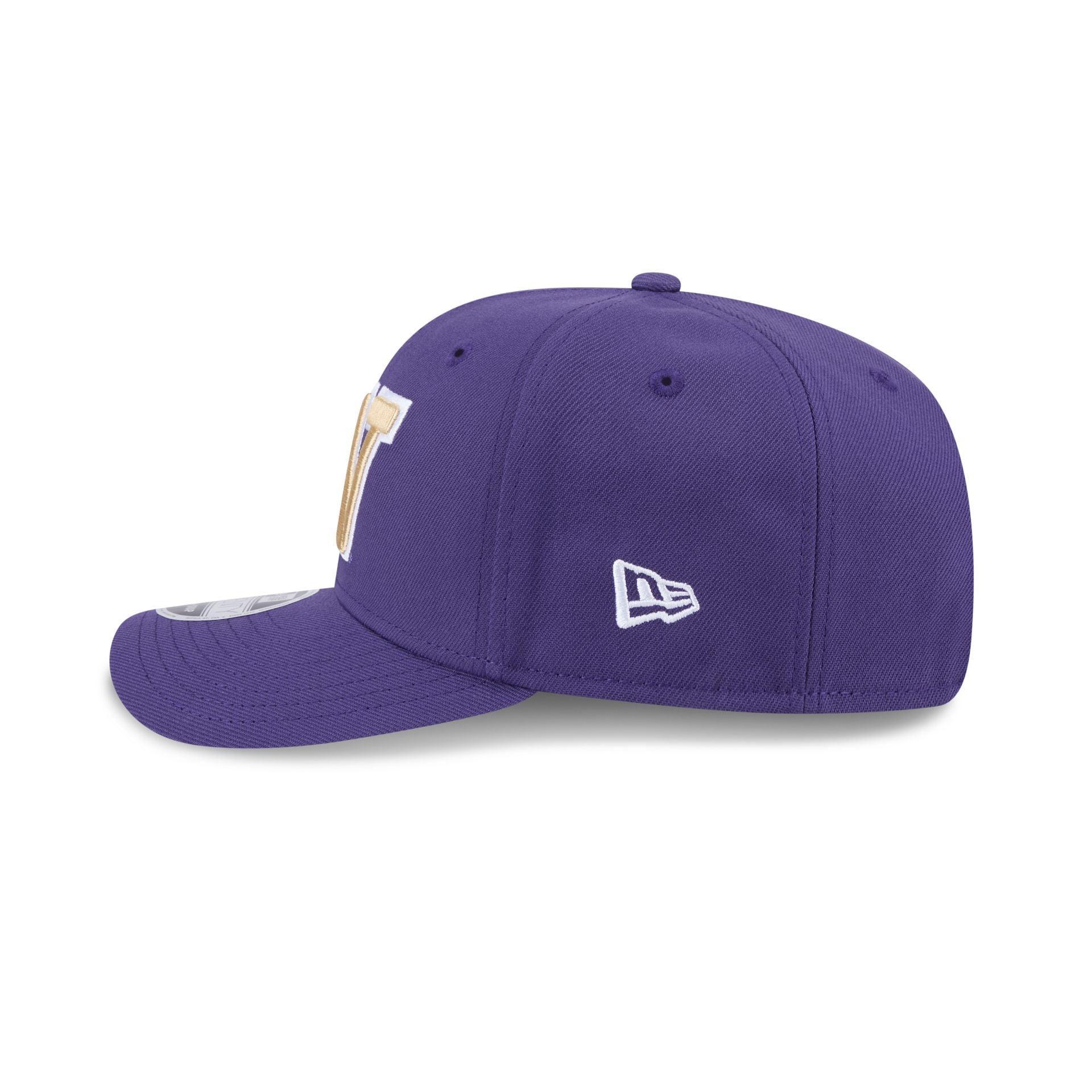 Washington Huskies Team 9SEVENTY Stretch-Snap Hat Male Product Image